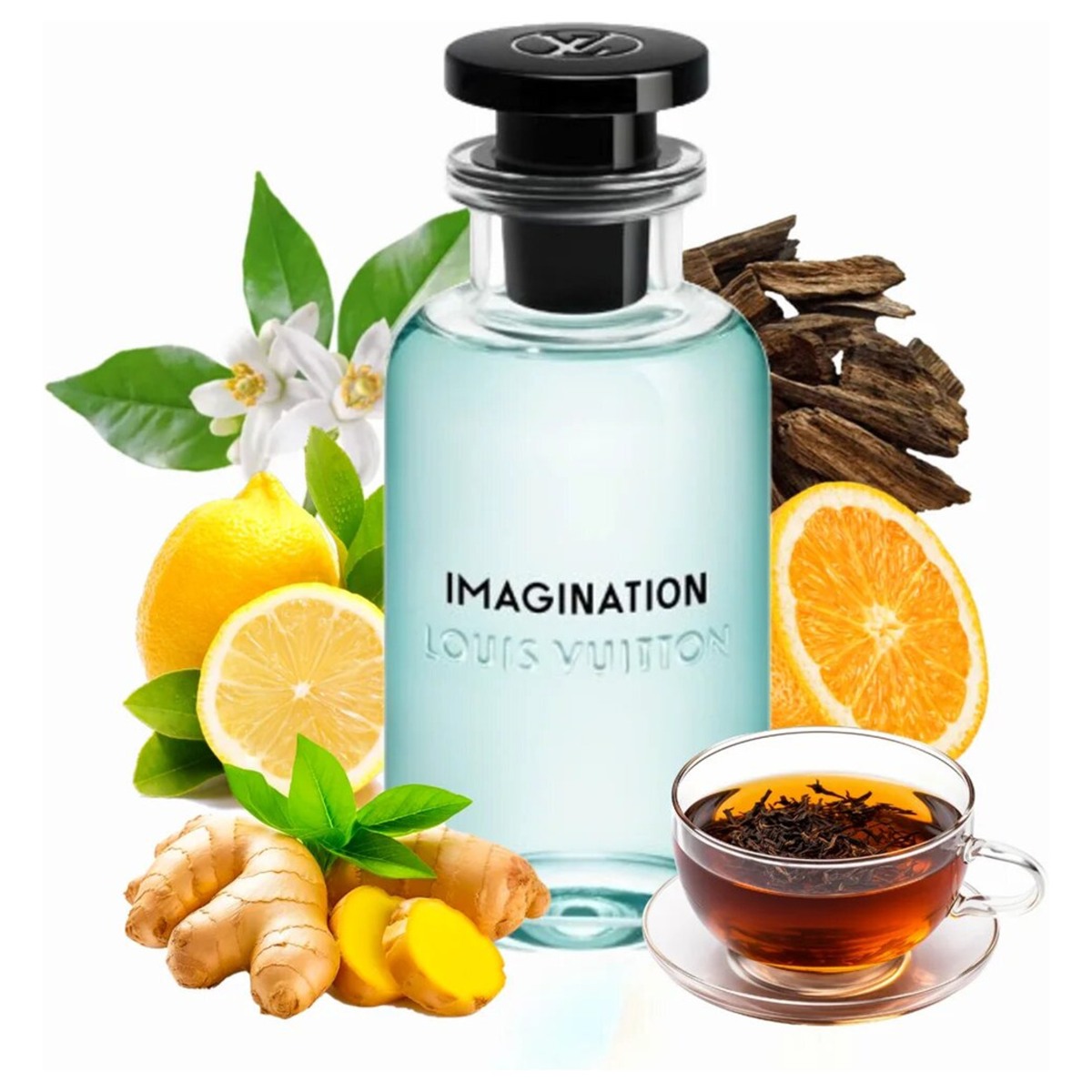 Louis Vuitton Imagination